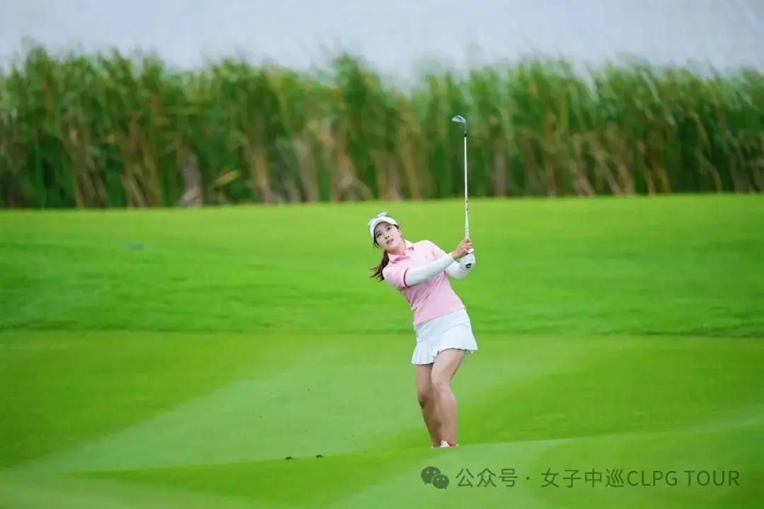 国际皇冠杯, 今年入选赛 国际皇冠杯, 今年入选赛